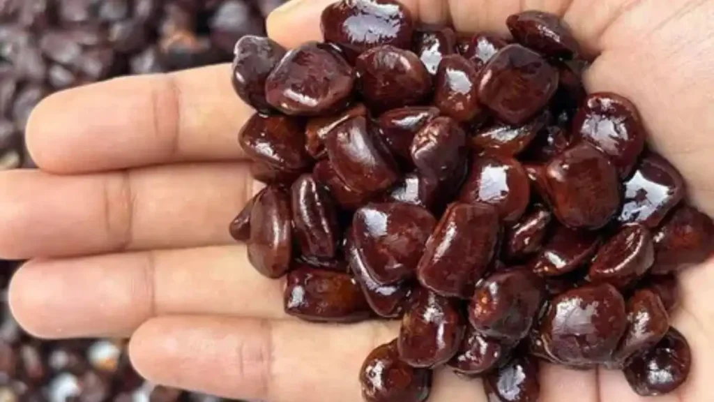 Chinta ginjalu