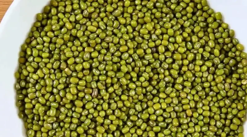 Green gram