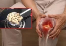 joint pains sonti powder