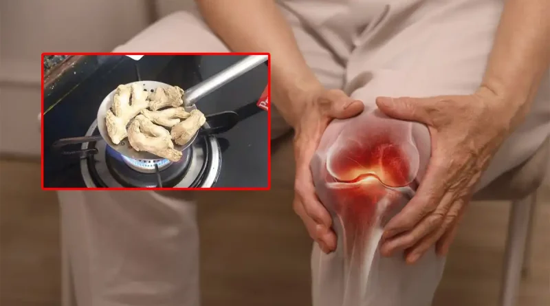 joint pains sonti powder