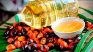palm Oil Benefits and side effects In Telugu