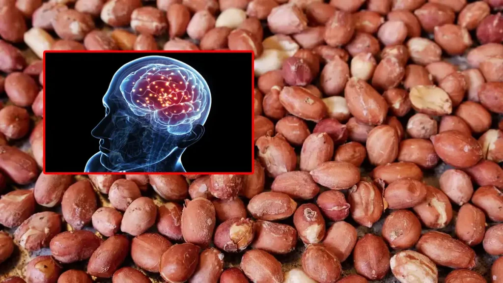 Peanuts brain food