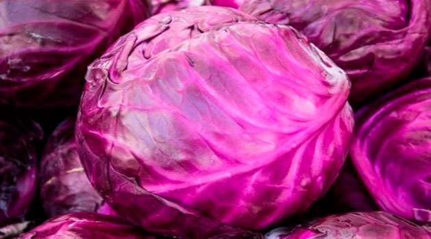 purple cabbage Benefits in telugu