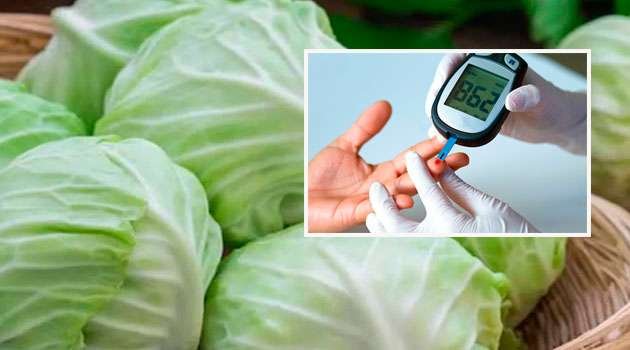 cabbage good for diabetics in Telugu
