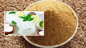 Mint Coconut Milk Benefits In telugu