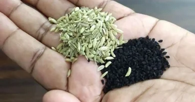 kalonji and fennel seeds