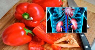 Red Capsicum Benefits In Telugu