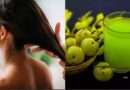 Hair Care: కిచెన్‌లో ఉండే ఈ ఒక్క వస్తువుతో జుట్టు రాలడం శాశ్వతంగా ఆగిపోతుంది!