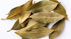 Bay Leaf diabetes In Telugu