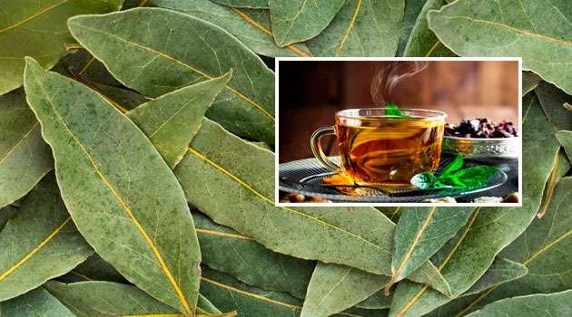 Herbal tea Benefits In Telugu