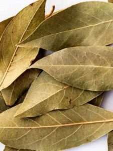 Bay Leaf diabetes In Telugu