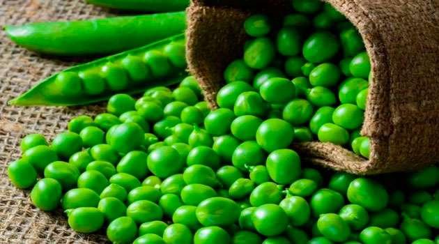 Green Peas Health Benefits In telugu