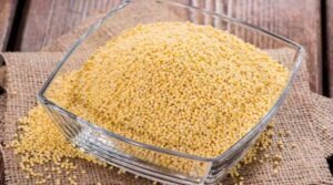 little millet Benefits In telugu