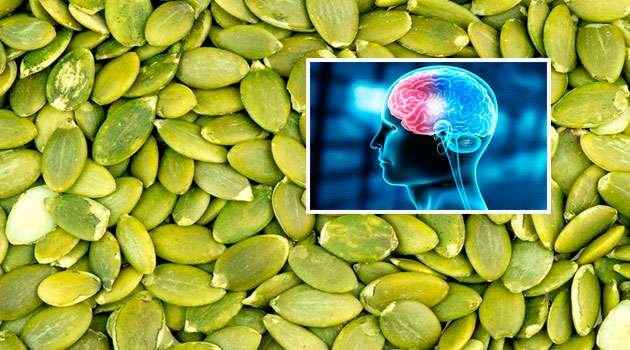 Brain Foods for Children