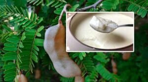 Tamarind leaves Beauty Benefits In telugu