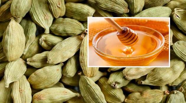 Cardamom And Honey Benefits In telugu