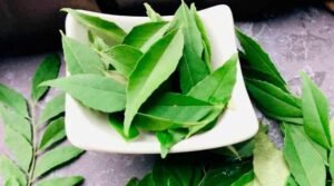 Curry Leaves Health benefits In telugu