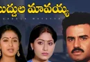 Muddula mavayya