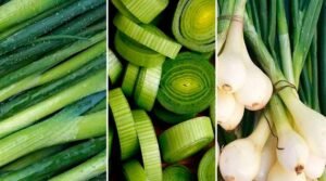 Spring Onions Health benefits in telugu