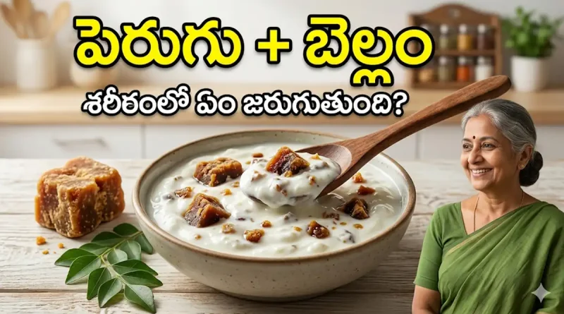why-you-should-eat-curd-and-jaggery-daily