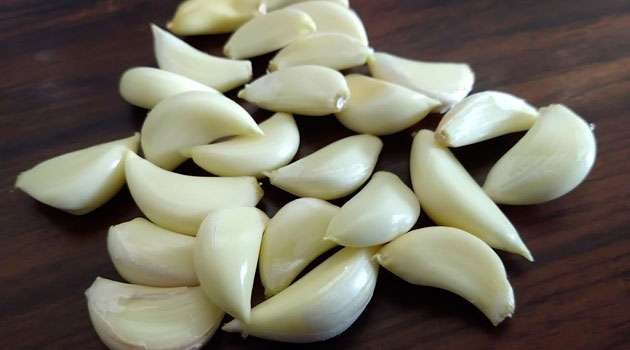 Garlic Health Benefits