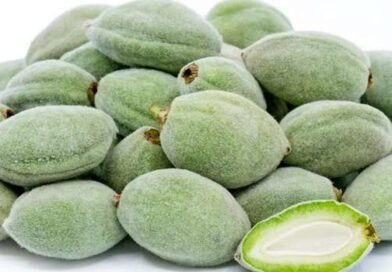 Green Almonds Benefits
