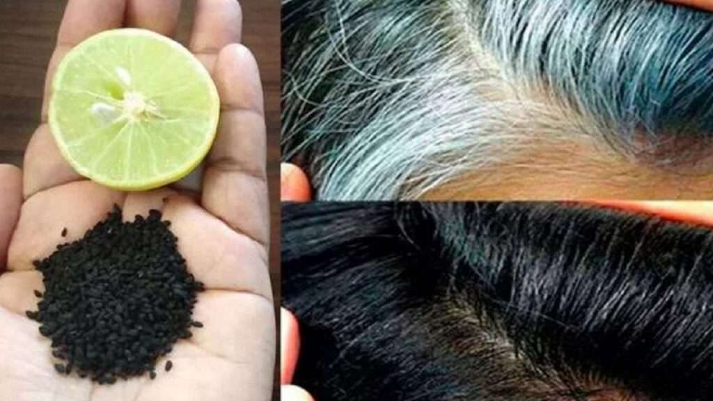 white hair turn black