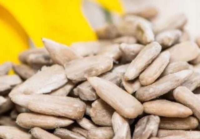 cropped-sun-flower-seeds-beenfits.jpg