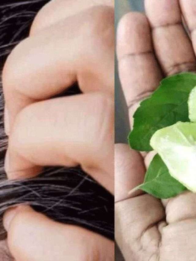 జుట్టుకు నిమ్మరసం రాస్తే తెల్లబడుతుందా? అసలు నిజం తెలిస్తే షాక్ అవుతారు!