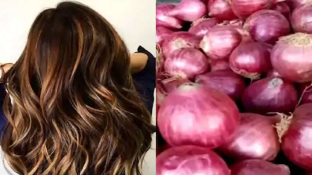 onion hair growth