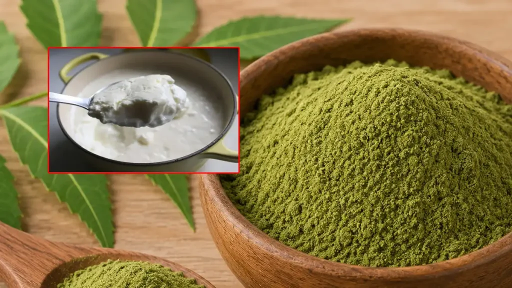 curd and neem power hair