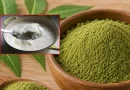 curd and neem power hair