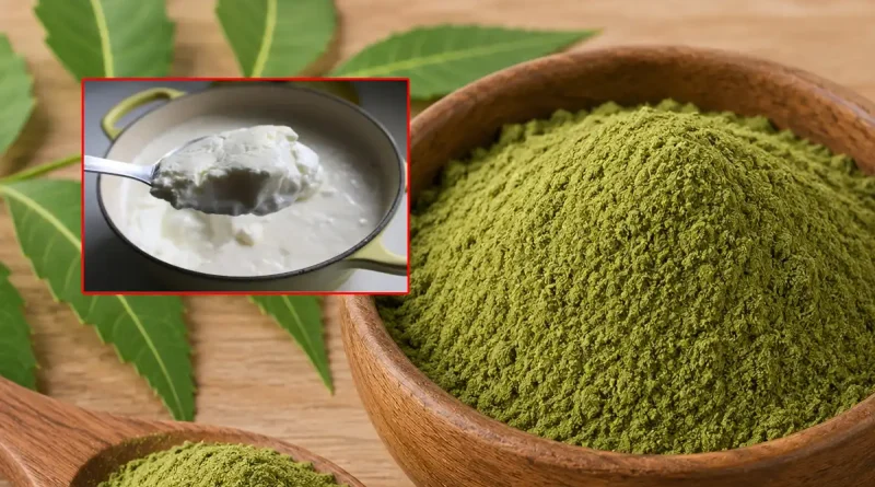 curd and neem power hair
