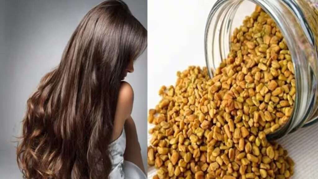 Fenugreek seeds for hair