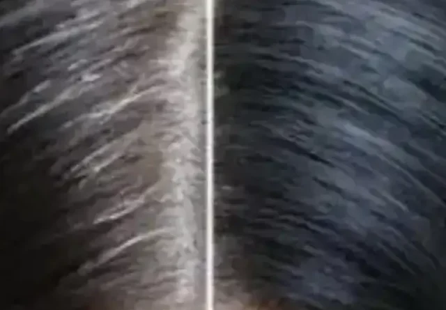 cropped-white-hair-turn-black.webp