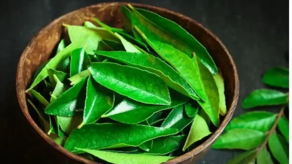 curry leaves