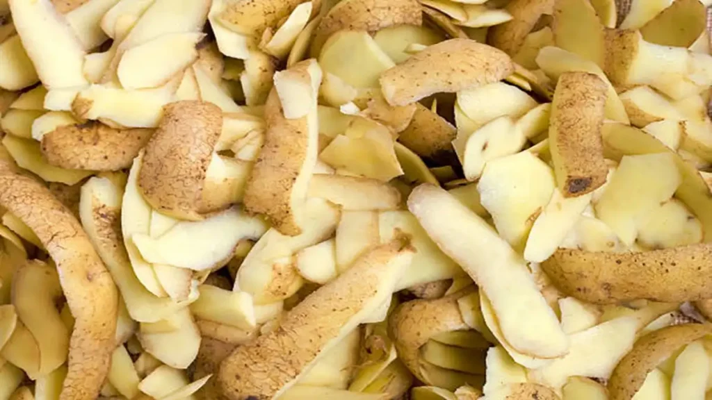 potato peel