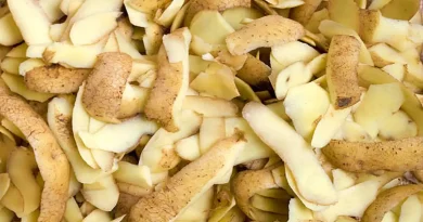 potato peel