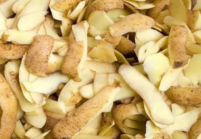 potato peel