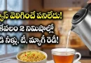 Electric Kettle:గ్యాస్ స్టవ్ వెలిగించే పనిలేదు.. కేవలం 2 నిమిషాల్లో వేడి నీళ్లు రెడీ! బ్యాచిలర్స్ కి ఇది వరం.”