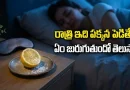 Lemon And Salt: రాత్రి పడుకునే ముందు మంచం పక్కన నిమ్మకాయ-ఉప్పు పెడుతున్నారా? అసలు నిజం తెలిస్తే షాక్ అవుతారు..