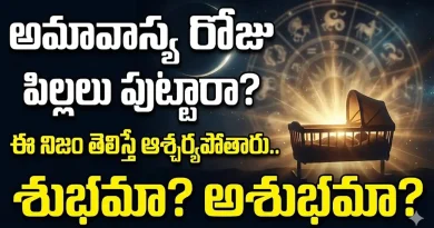 Amavasya Child Birth:అమావాస్య రోజు పిల్లలు పుట్టారా? అయితే ఈ నిజం తెలిస్తే ఆశ్చర్యపోతారు.. శుభమా, అశుభమా?