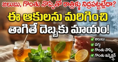 Cold And Cough;జలుబు, గొంతు నొప్పితో రాత్రిళ్లు నిద్రపట్టట్లేదా? ఈ ఆకులను నీటిలో మరిగించి తాగితే దెబ్బకు పరార్!