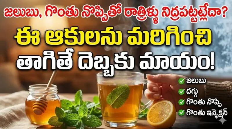 Cold And Cough;జలుబు, గొంతు నొప్పితో రాత్రిళ్లు నిద్రపట్టట్లేదా? ఈ ఆకులను నీటిలో మరిగించి తాగితే దెబ్బకు పరార్!
