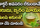 Cough Remedies:డాక్టర్ అవసరం లేకుండానే.. జలుబు, జ్వరం మాయం! తులసి ఆకులతో ఇలా చేసి చూడండి.