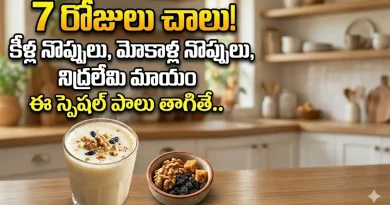Joint Pains:కేవలం 7 రోజులు.. ఈ పాలు తాగారంటే కీళ్ల నొప్పులు, చెడు కొలెస్ట్రాల్, నిద్రలేమి మాయం..