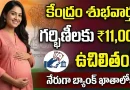 Pregnant Women:శుభవార్త: గర్భిణీ స్త్రీలకు కేంద్రం నుంచి అకౌంట్‌లోకి నేరుగా రూ.11,000.. దరఖాస్తు చేసుకోండిలా!