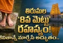 Tirumala Tirupati:తిరుమల స్వామి పుష్కరిణిలో ‘8వ మెట్టు’ రహస్యం ఇదే.. అక్కడ ఒక్క నిమిషం నిలబడితే చాలు, మీ తలరాతే మారిపోతుంది!
