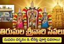 Tirumala Srivari Sevas:కళ్యాణోత్సవం నుంచి ఊంజల్ సేవ వరకు.. టికెట్లు, దర్శనం టైమింగ్స్ పూర్తి వివరాలివే..