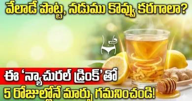 Weight Loss:వేలాడే పొట్ట, నడుము కొవ్వు కరగాలా? ఈ ‘న్యాచురల్ డ్రింక్’తో 5 రోజుల్లోనే మార్పు గమనించండి!
